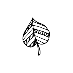 Sollas, Nathan website